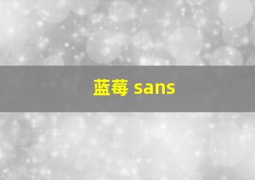 蓝莓 sans